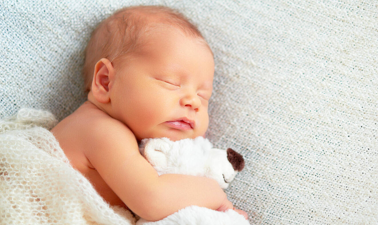 Nyfött barn ligger på en filt och gosar med en nalle.