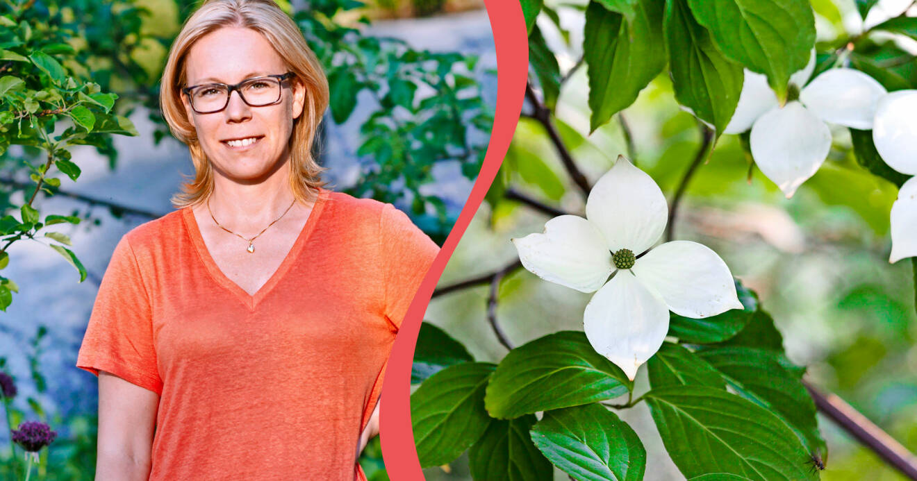 Porträtt av Johanna Antonsson vinnare av Årets trädgård 2020.