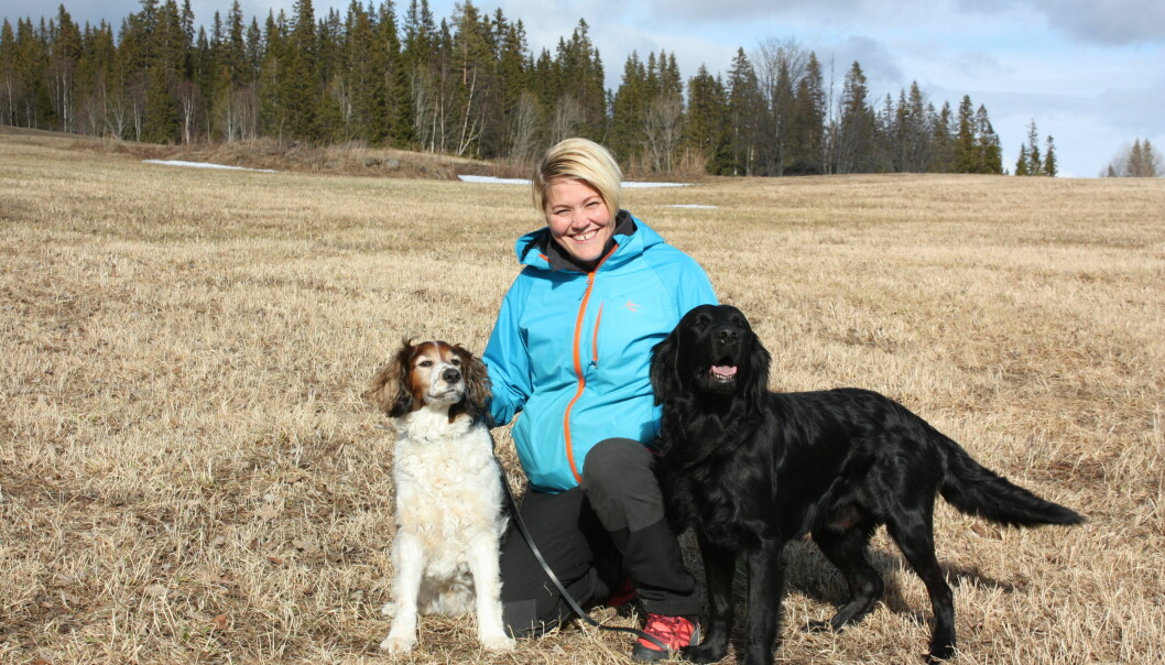 Åsa bor i Jämtland med sina hundar Nino och Lexus. Foto: Kjell Eriksson Åsa sitter på huk på en åker med sina två hundar.