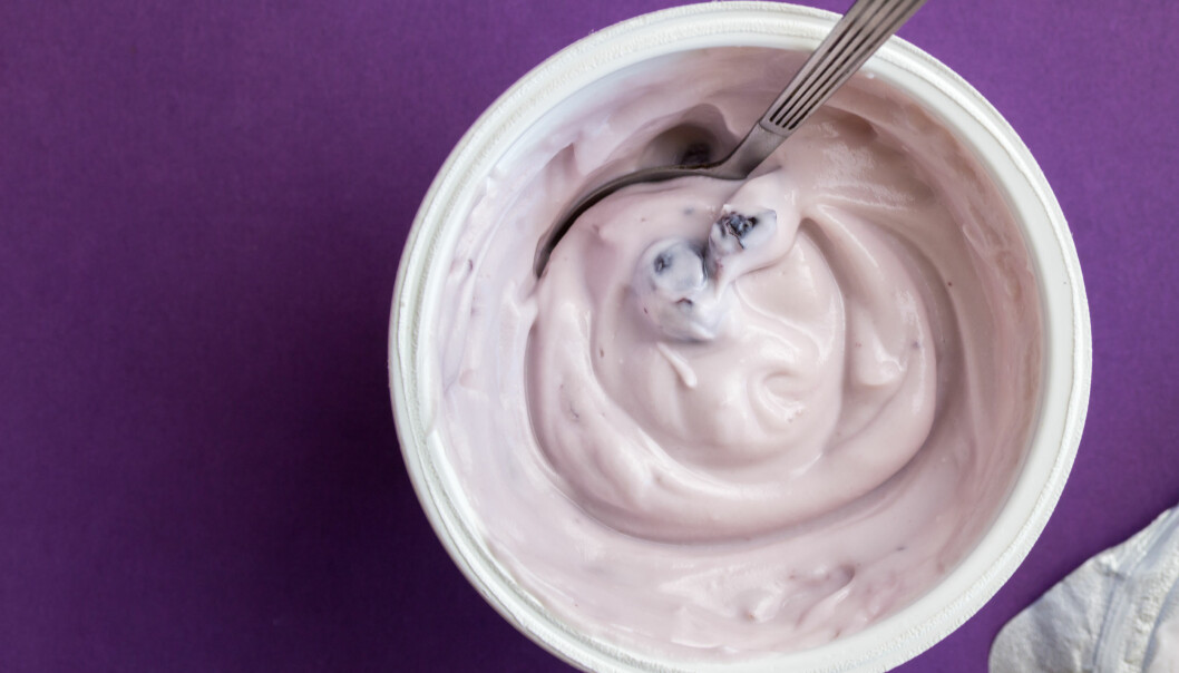 Smaksatt fruktyoghurt är ofta en riktig sockerbomb. En behållare med blåbärsyoghurt fotograferad uppifrån på ett lila underlag.