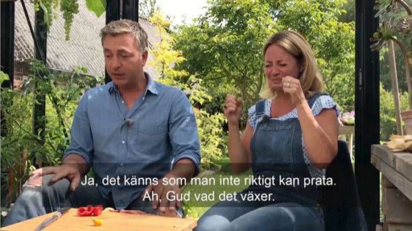 Tareq Taylor och Pernilla Månsson Colt har svårt att prata efter att ha provat en av världens starkaste chilis.