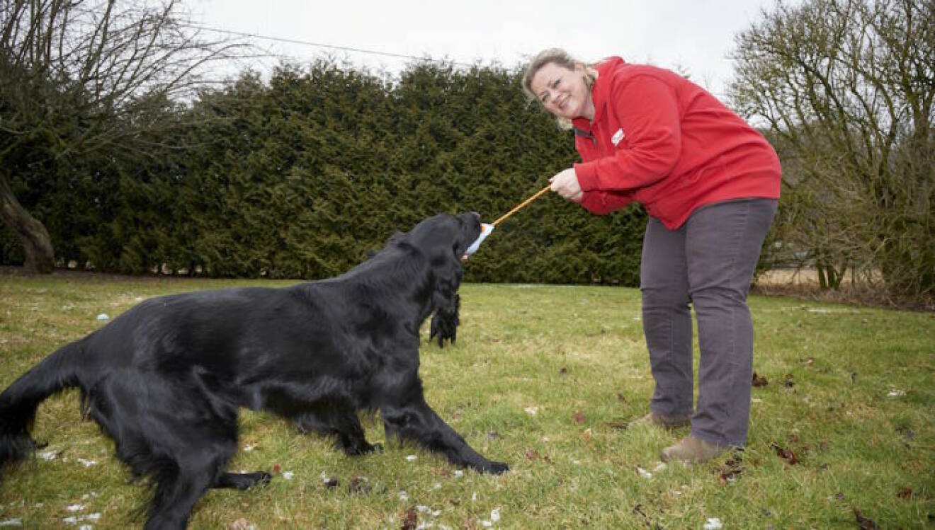 Veterinär Karen Lisager busar med sin hund Singel.