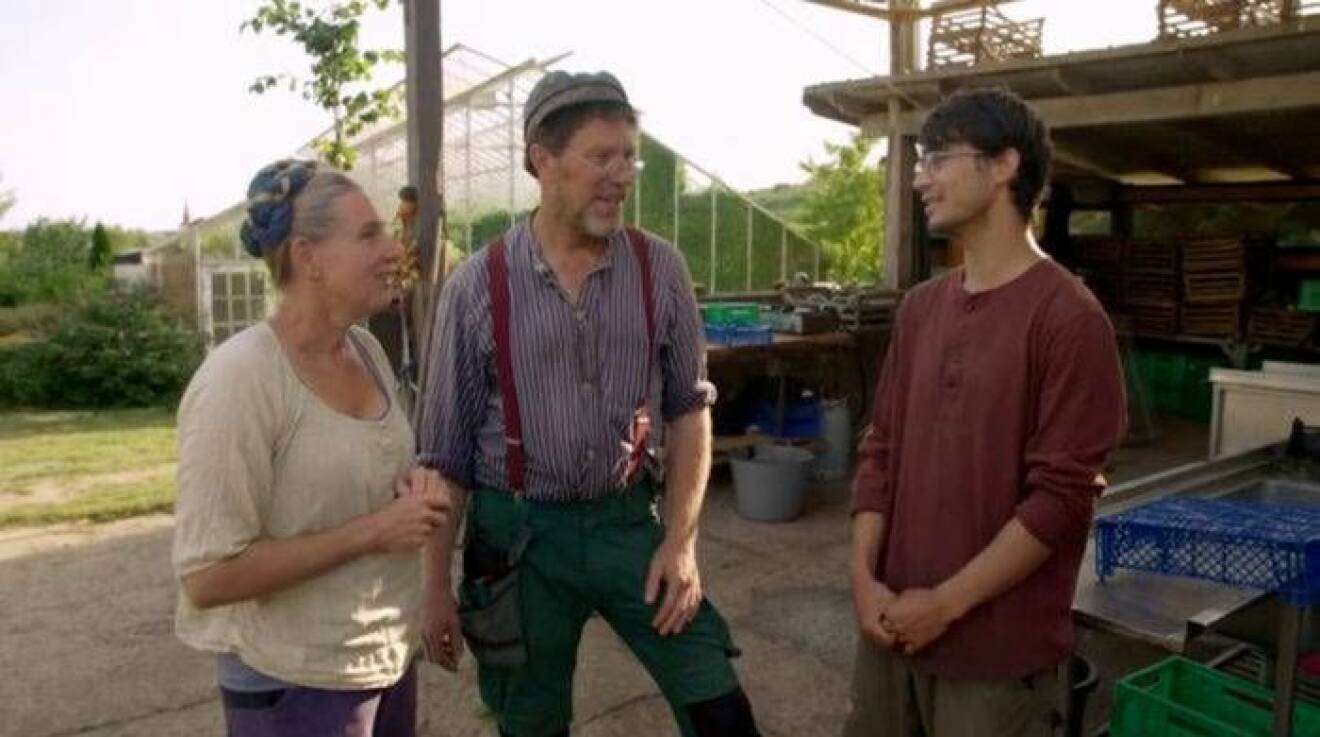 I kvällens avsnitt av "Mandelmanns gård" får vi träffa Akram som flytt från Afghanistan och som hjälper paret Mandelmann på gården.