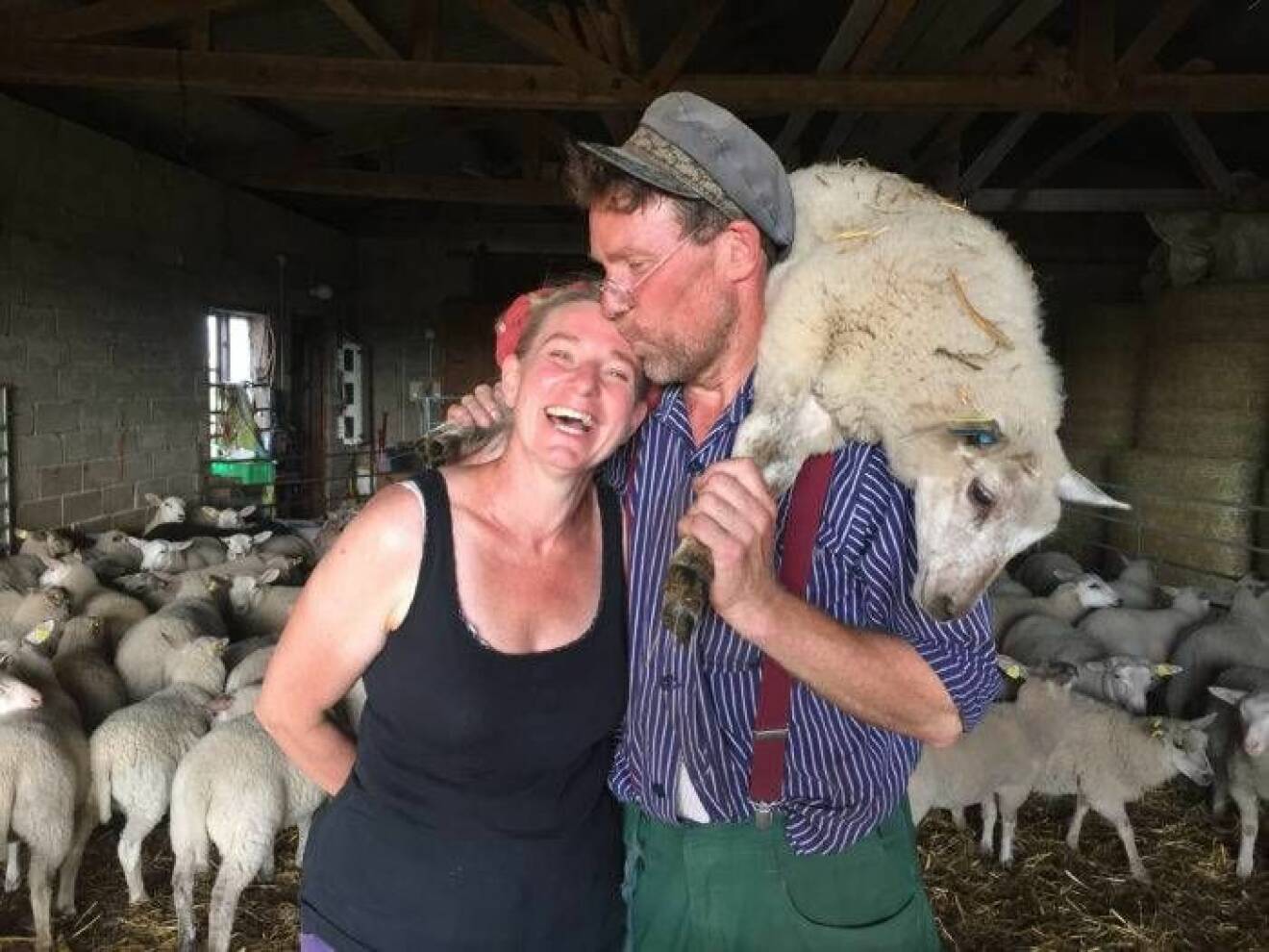 Gustav Mandelmann kysser Marie Mandelmann på pannan – samtidigt som har bär ett får över axlarna.