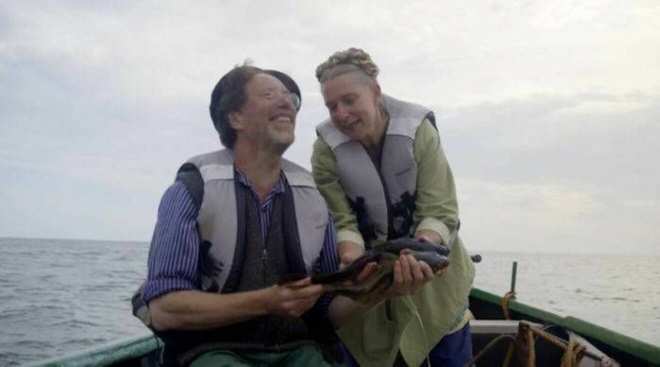 Det blir fisketävling när Gustav och Marie Mandelmann hamnar mitt i ett torskstim.