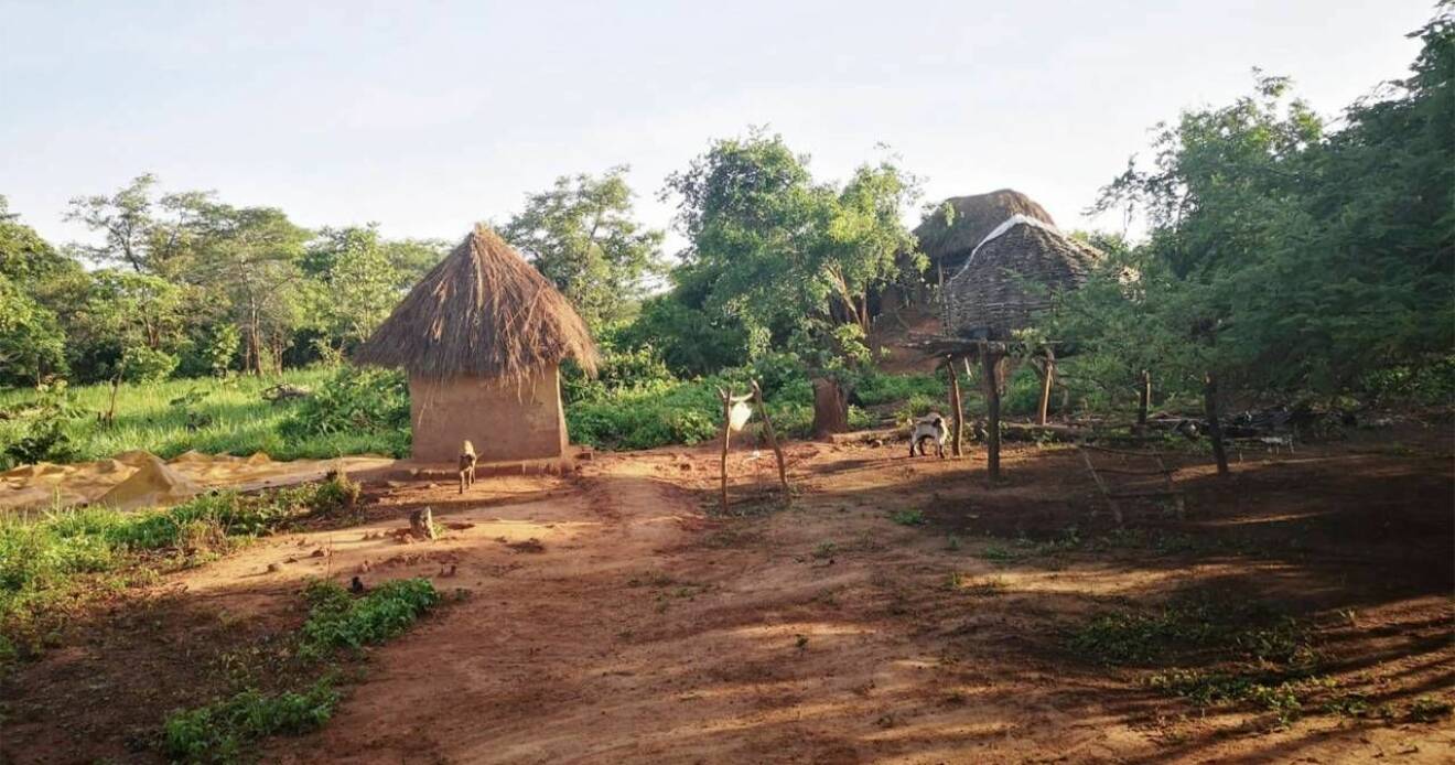 Ett par hyddor i en by i Zambia.