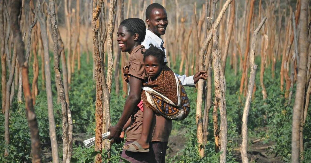 En zambisk familj på ett fält i Zambia.