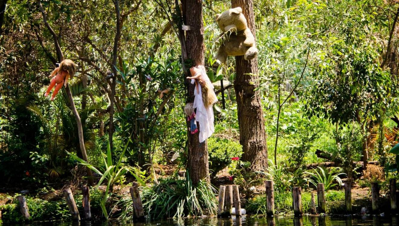 Dockor hänger i träd på Isla de las munecas, också kallad dockön