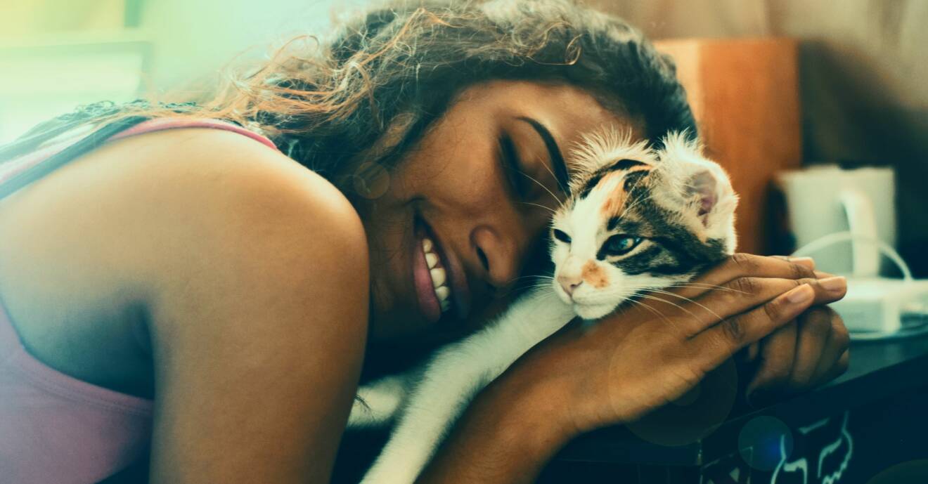 En kattägare och en katt har en speciell koppling beroende på personlighet.