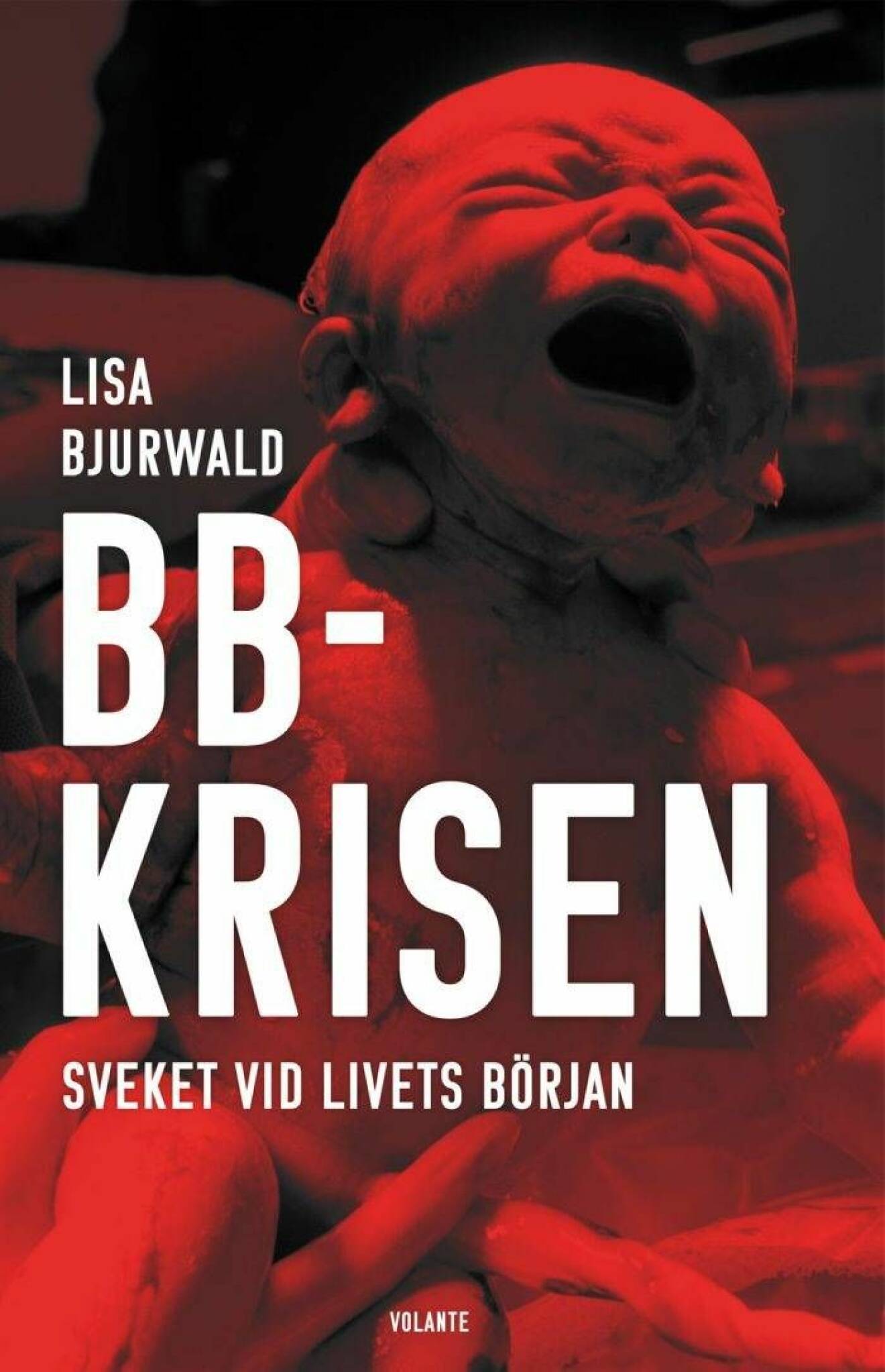 Boken "BB-krisen: Sveket vid livets början" av Lisa Bjurwald, utgiven 2019.