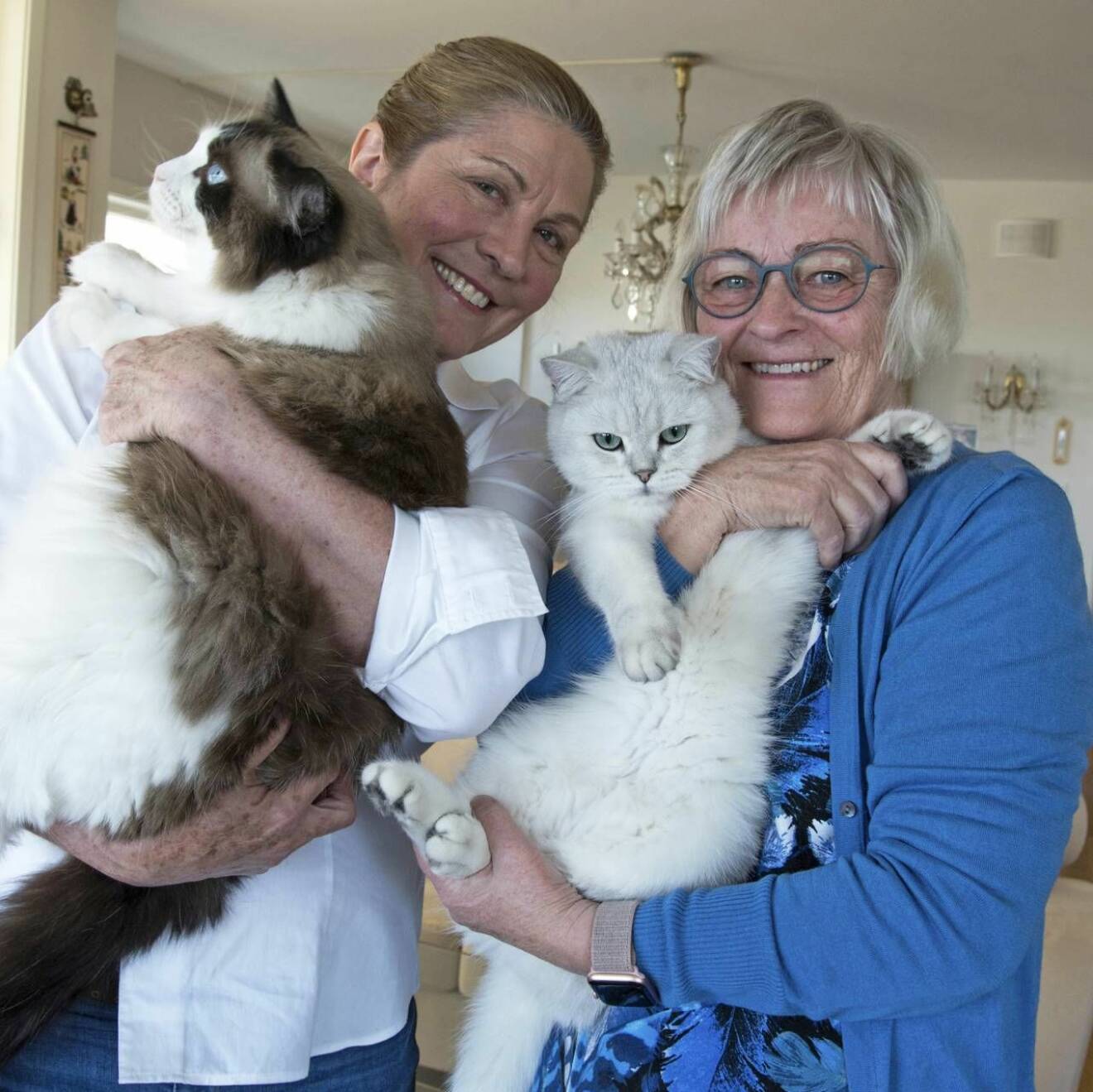 Tack vare katterna blev de först vänner via Facebook – nu även i verkligheten. Jaqueline Jensen håller Marius och Anne Grete håller Bianca. 