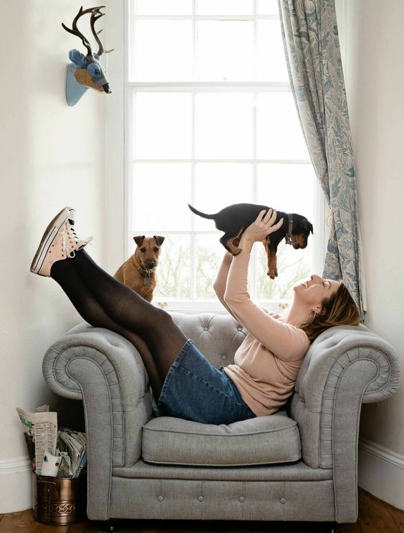 Författaren Jenny Colgan ligger i en fåtölj och myser med sina små hundar.