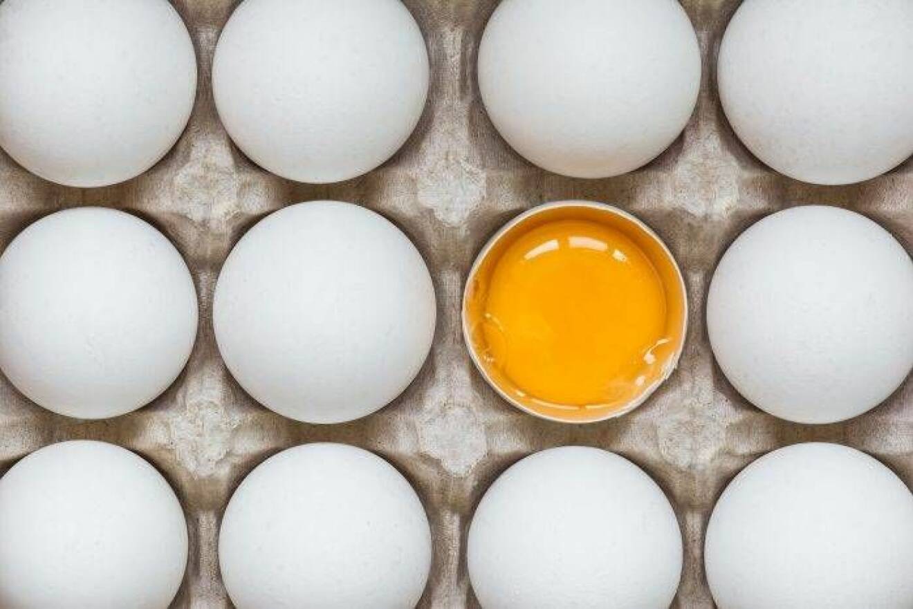 Ett knäckt ägg bland hela ägg i en äggkartong.