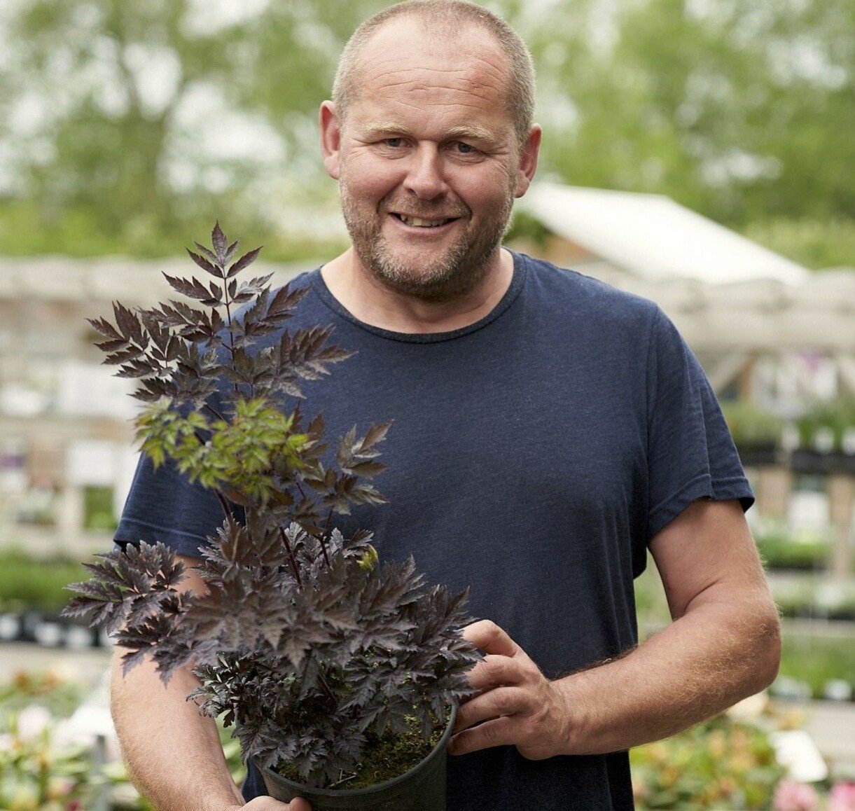 Höstsilverax – en favorit i sensommarrabatten! Foto: Charlotte T Strömwall John Taylor med en höstsilverax