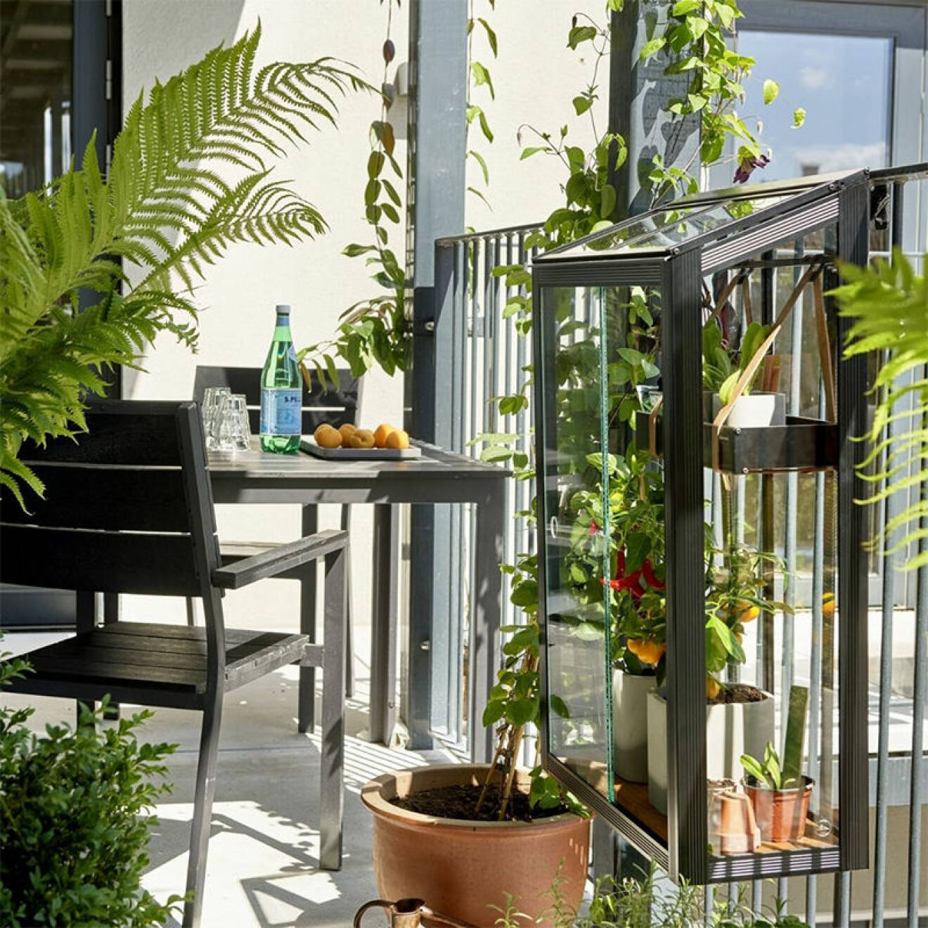 litet växthus till balkong 2020