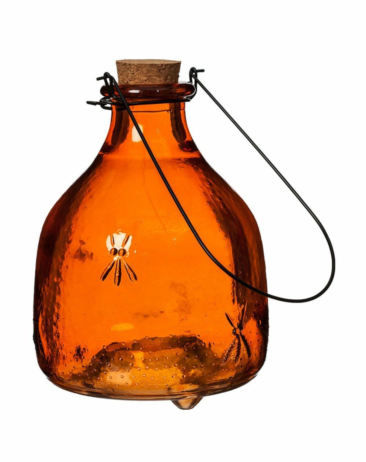 Insektsfångare i glas.