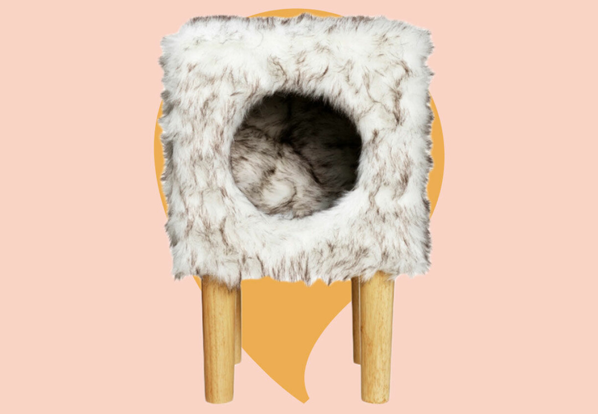 Kattsäng igloo