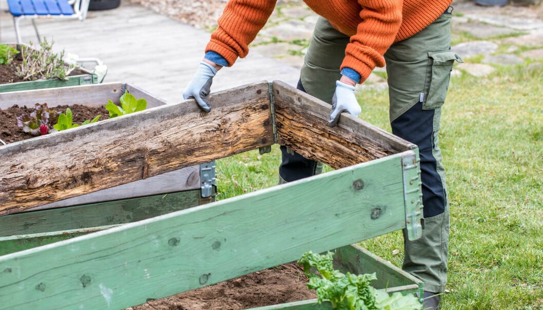 Hur Får Man Skabb Från Början Odla i pallkrage: Guide från början till sådd | Allas.se