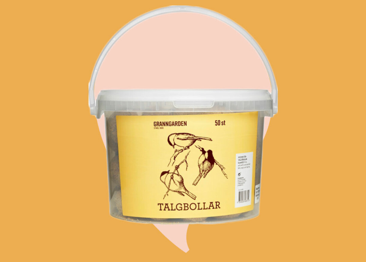 Hink med talgbollar