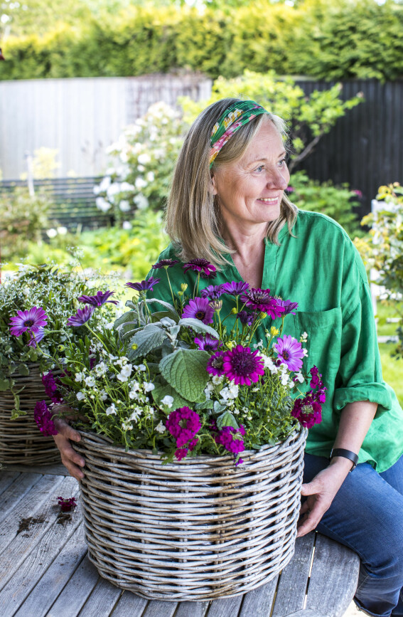 Den här kombinationen i lila, vitt och silver blir sommarens blomsterkorg vid soliga uteplatsen