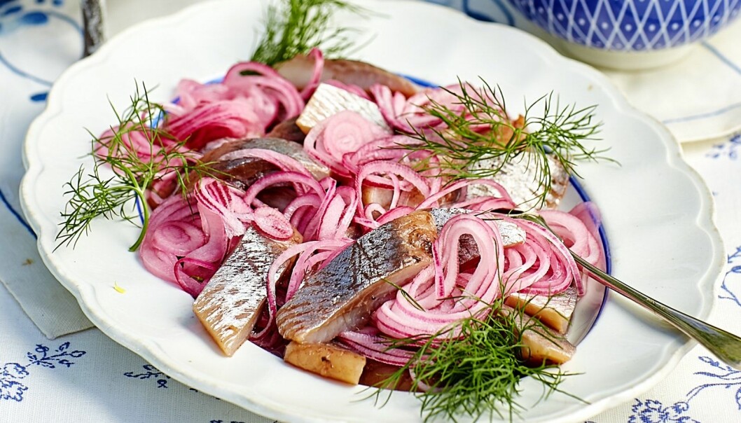 Midsommarmatjes med picklad rödlök
