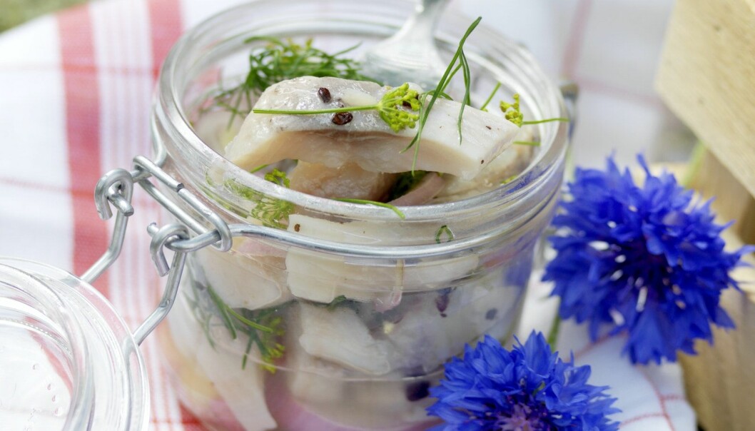 Sill med schalottenlök till midsommar