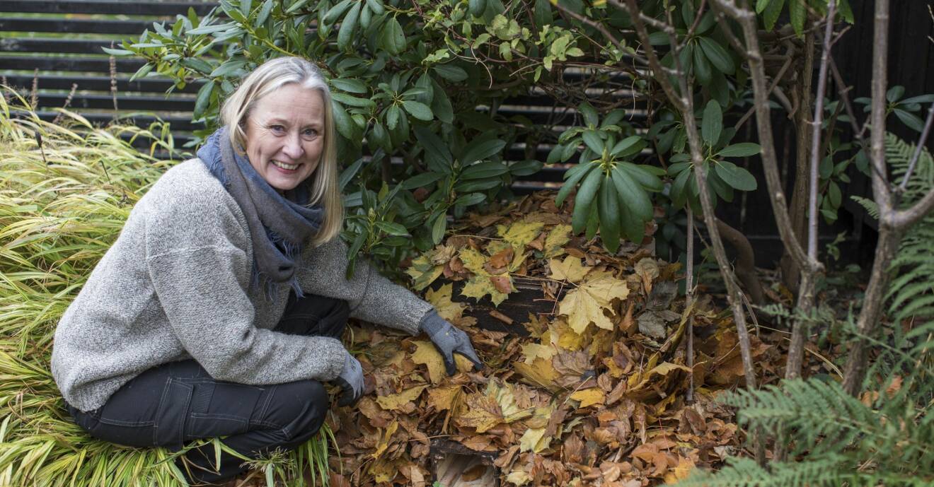 Anni Jähde bygger ett bo till trädgårdens igelkottar så att de klarar vintern.