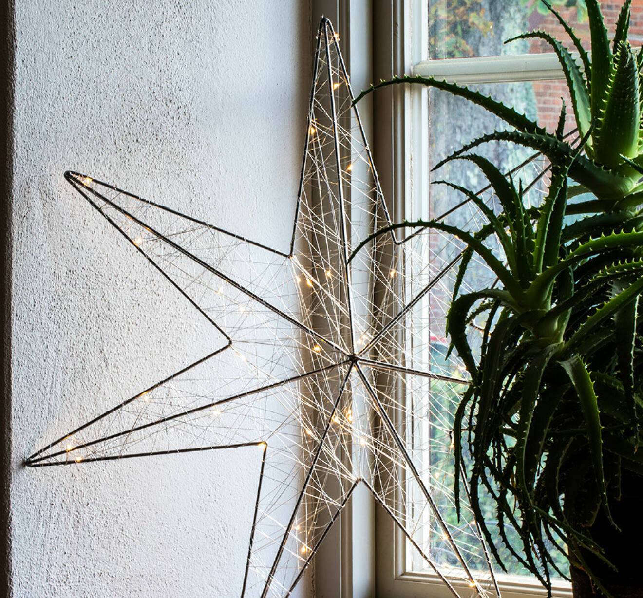 Julstjärna i en fönsterkarm.