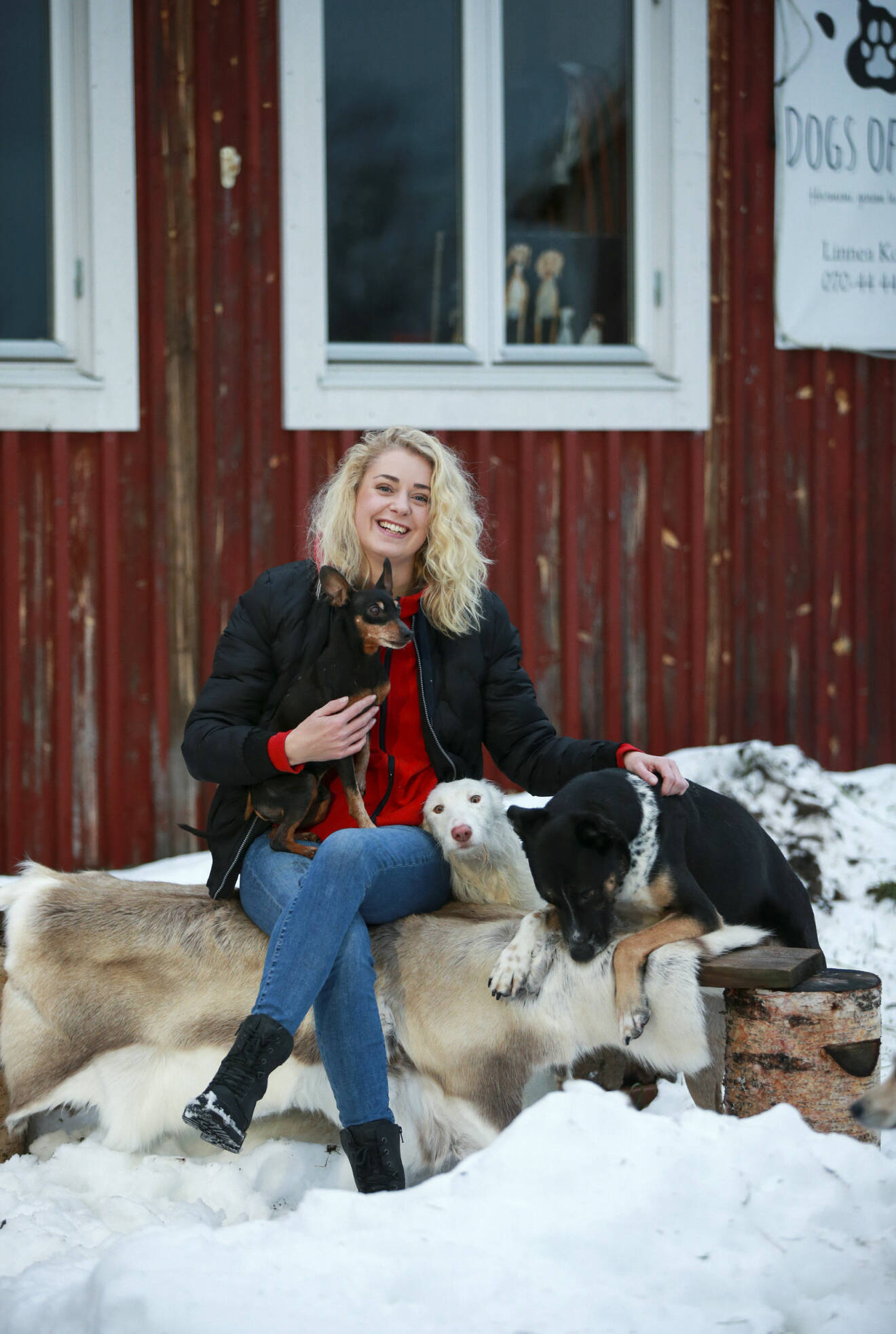 Linnea sitter på en fäll utomhus framför sitt röda hus, har en hund i knät och två hundar sitter bredvid.