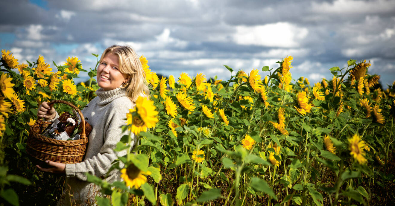 Hilda Kirkhoff i ett solrosfält med en picknickkorg i famnen. Bilden finns i den bakbok hon ger ut efter att ha vunnit Hela Sverige bakar 2020.