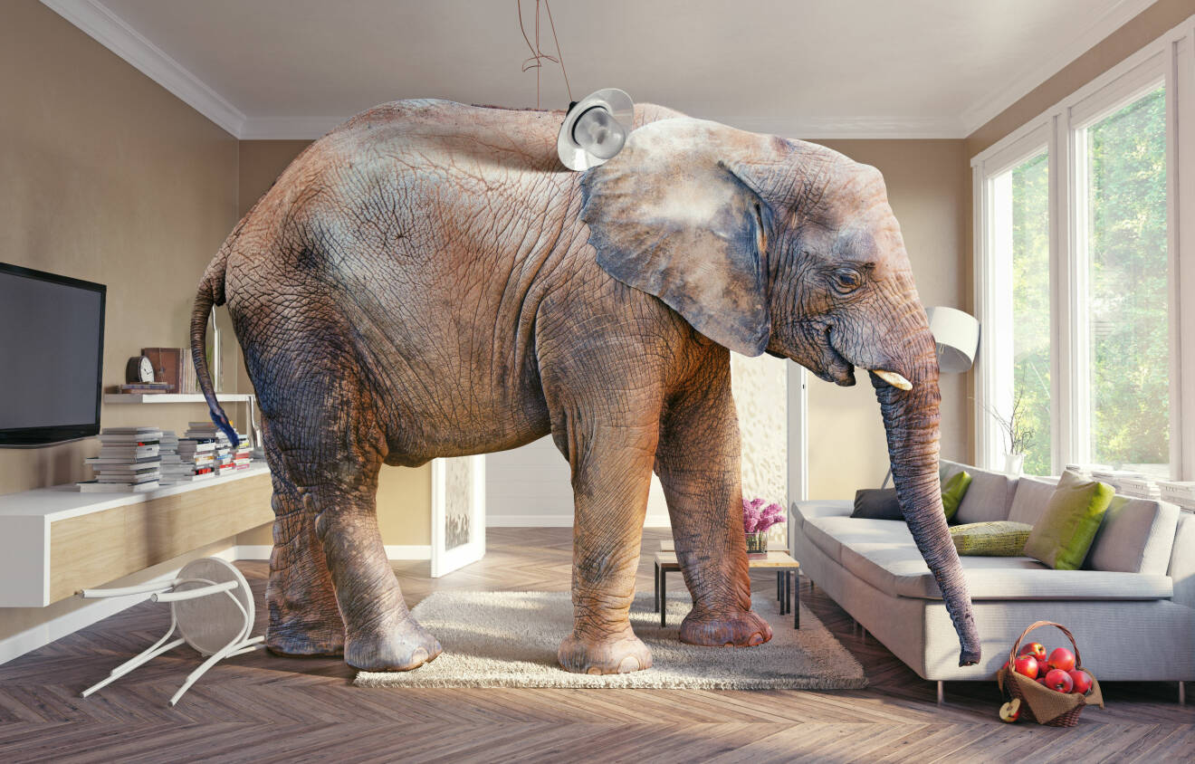 Manipulerad bild på en elefant som står i ett rum för att illustrera att man ska ”prata om elefanten i rummet” i en relation.
