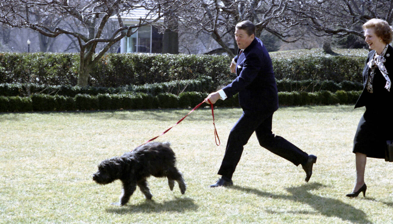Ronald Reagan med sin hund Lucky och Margaret Thatcher.