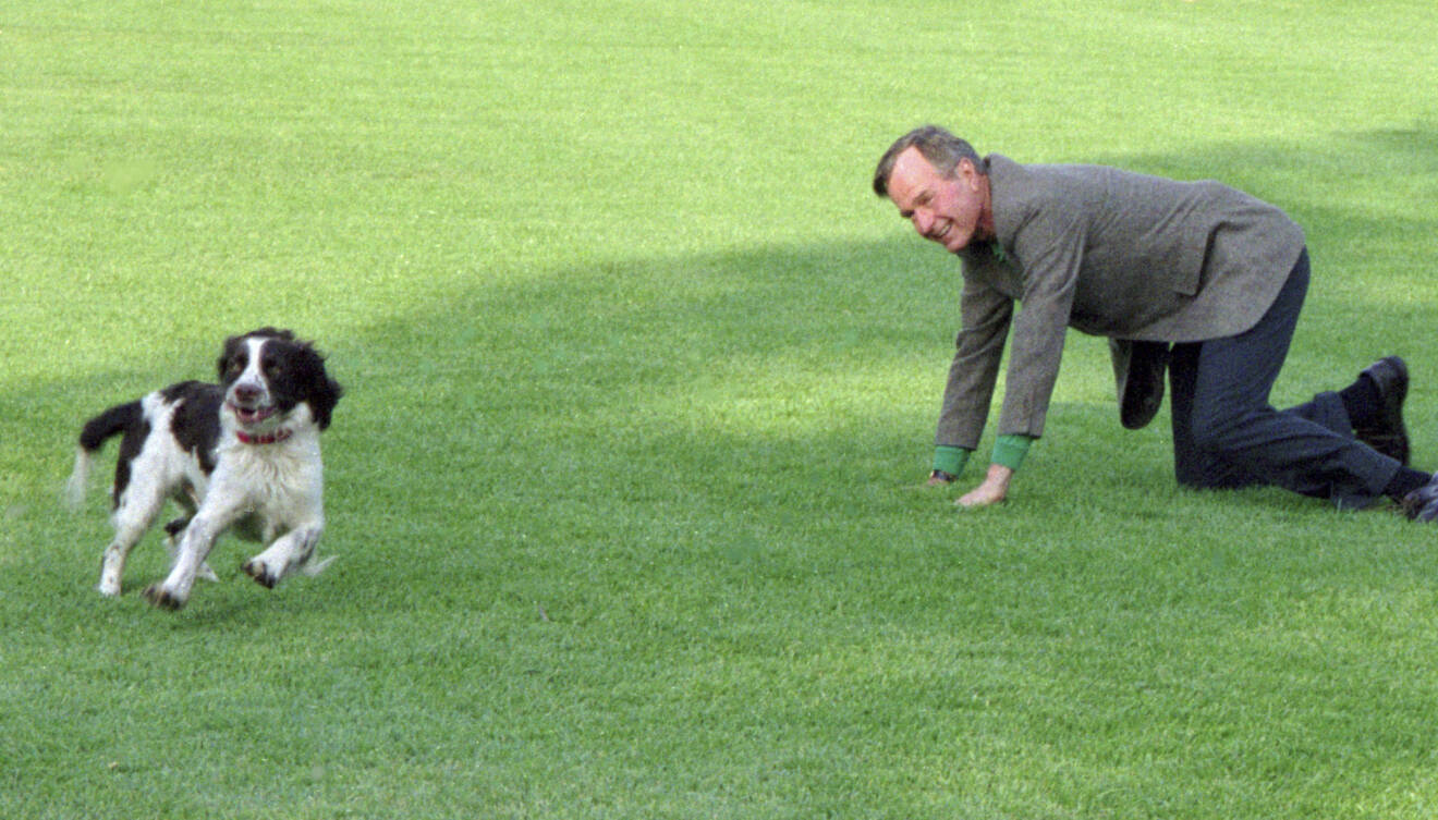 George H. W. Bush med sin hund Ranger.