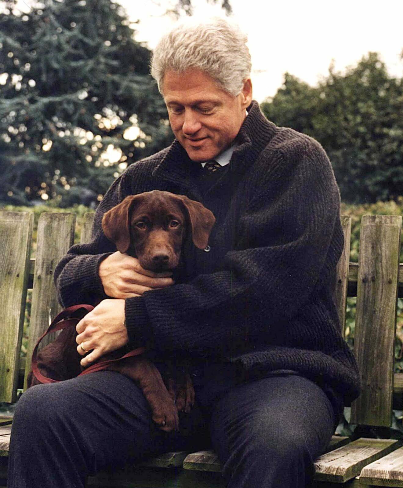 Bill Clinton och hans labrador Buddy.