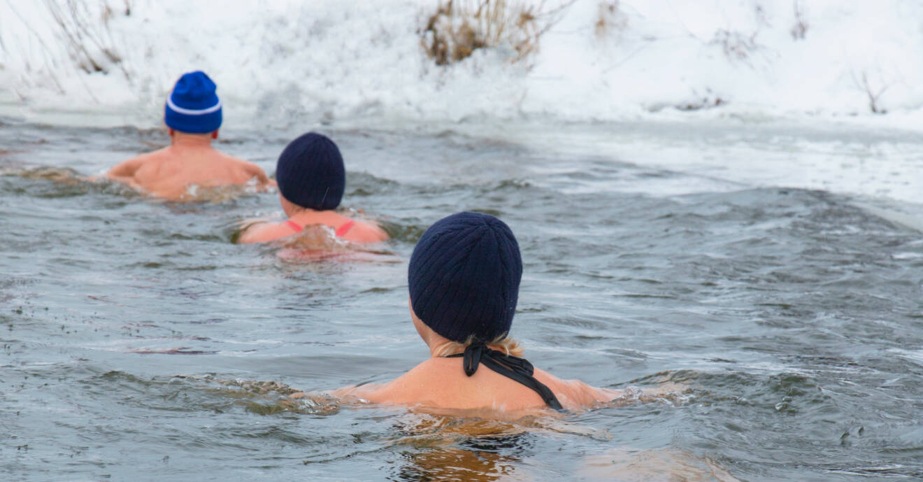 Kallbadare som simmar hurtigt i det iskalla vattnet.