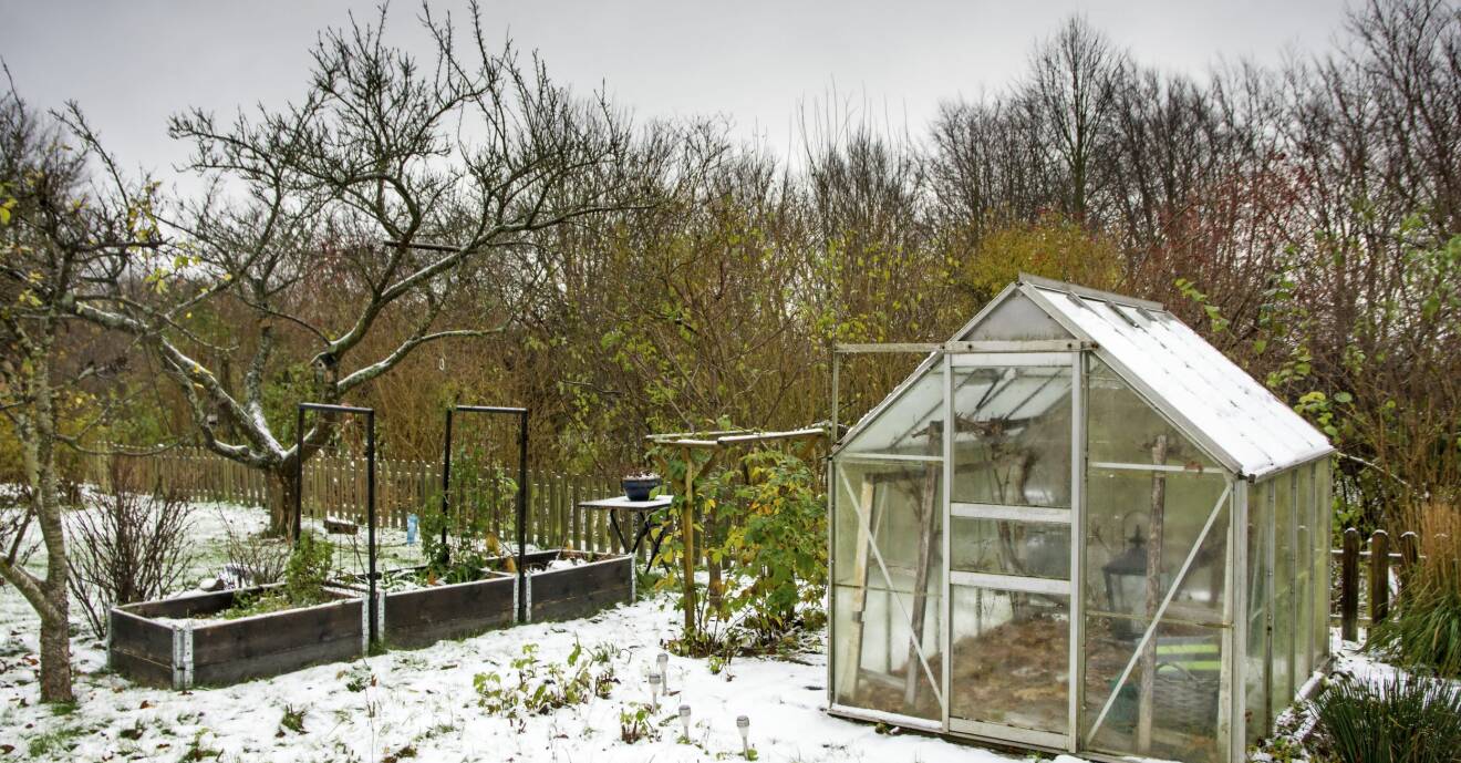 Växthus redo för vinterodling av grönsaker.
