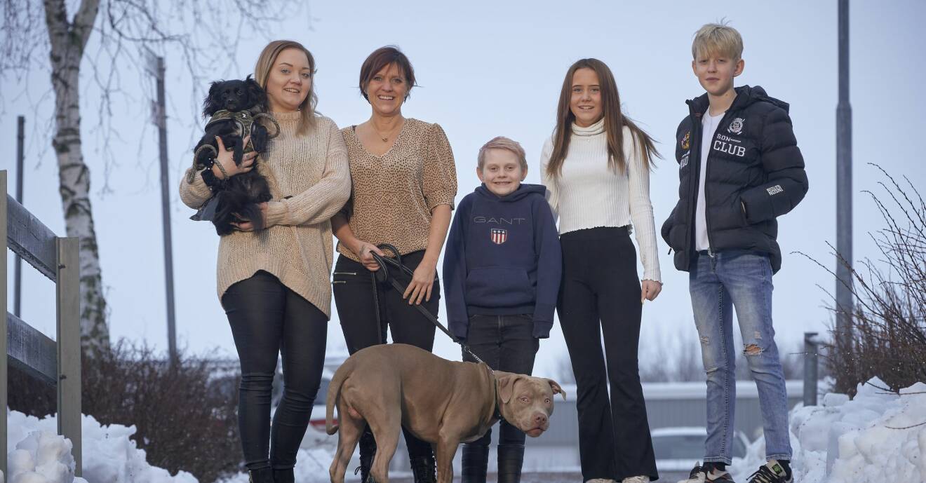 Carina Sende står med sina barn Ronja, Love, Emilia och Elias samt hundarna Jax och Enzo och berättar om hur lottvinsten gjorde livet tryggare.