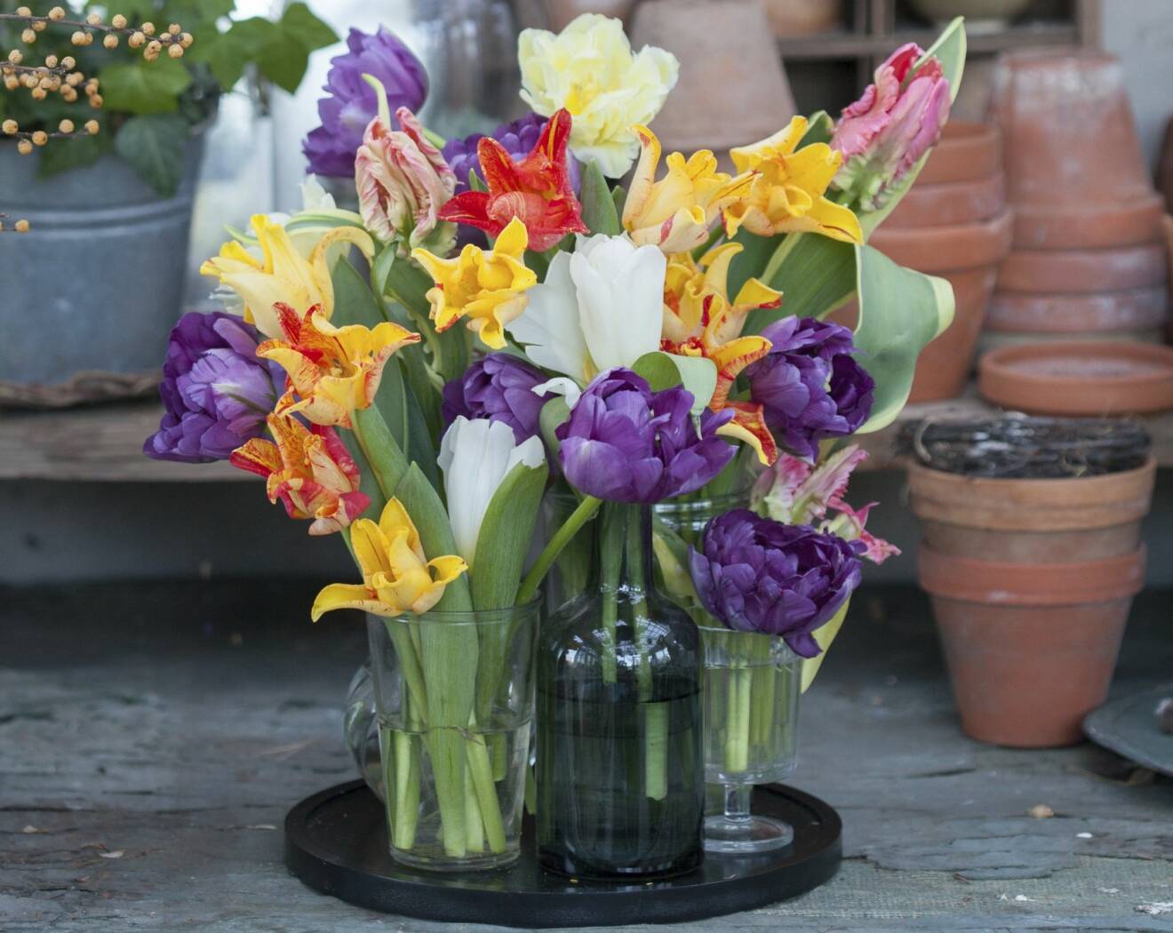 Tulpaner placerade i vaser i olika storlek och form.