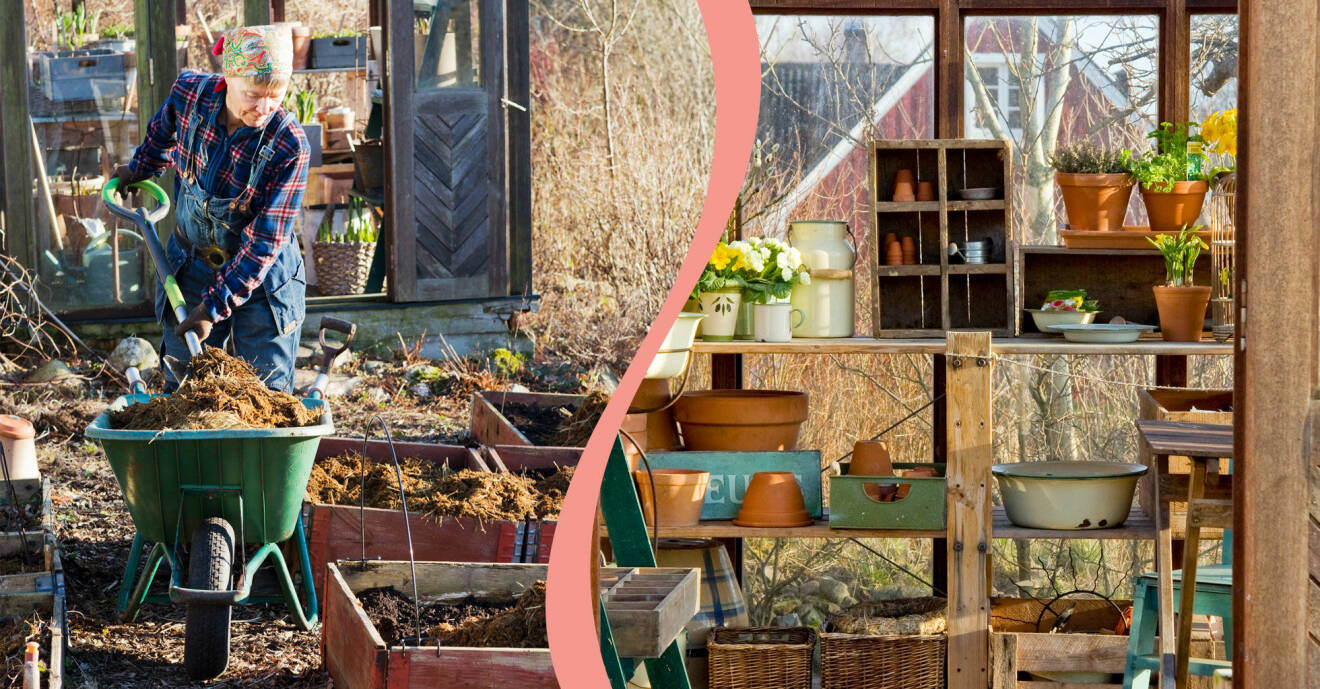 Delad bild på saker du bör göra för att vårstarta trädgården. Till vänster: Fyller på kompost i pallkrage. Till höger: Ett nystädat växthus.