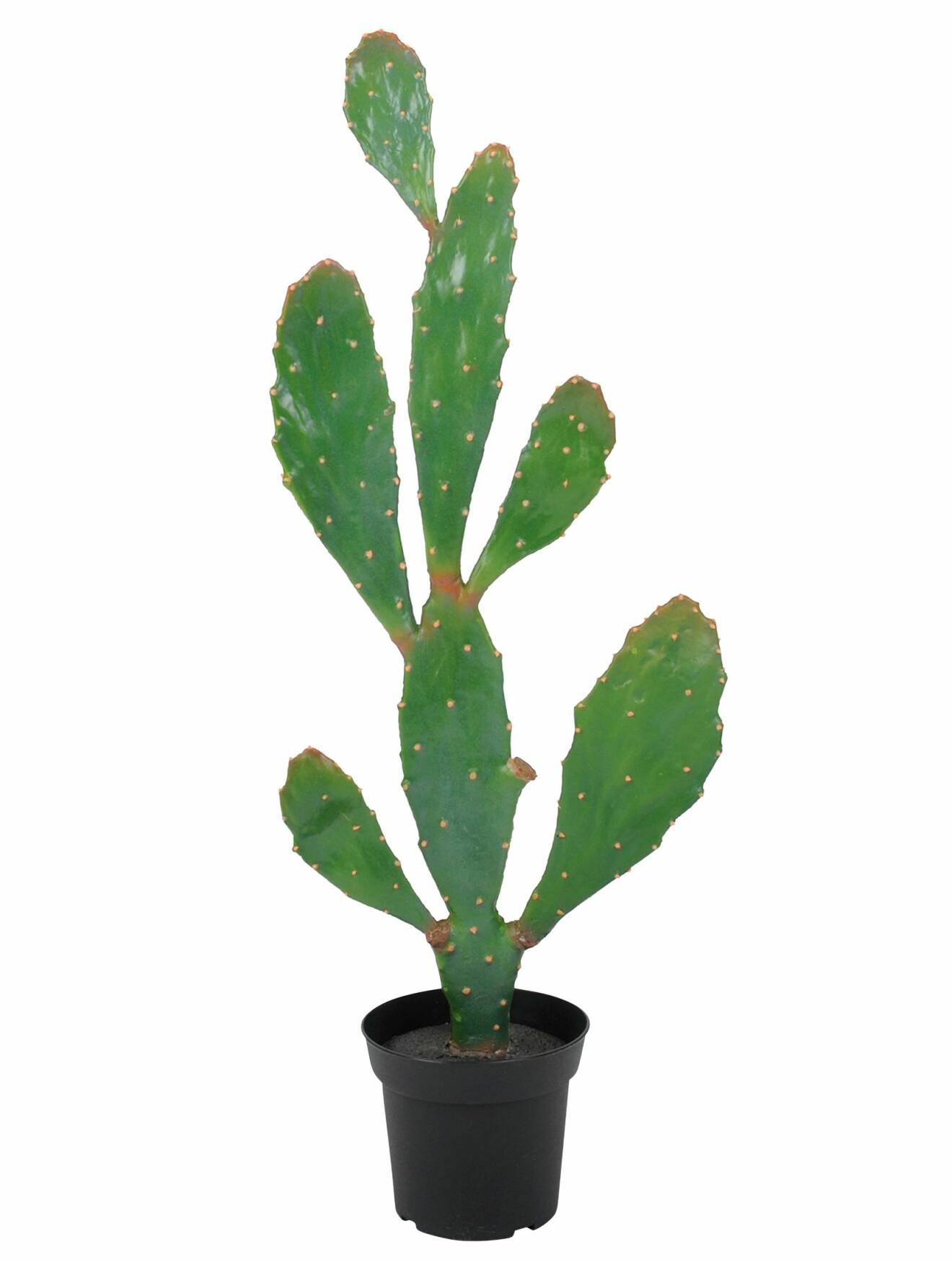 Grön konstgjord kaktus med många platta armar och ljusa prickar.
