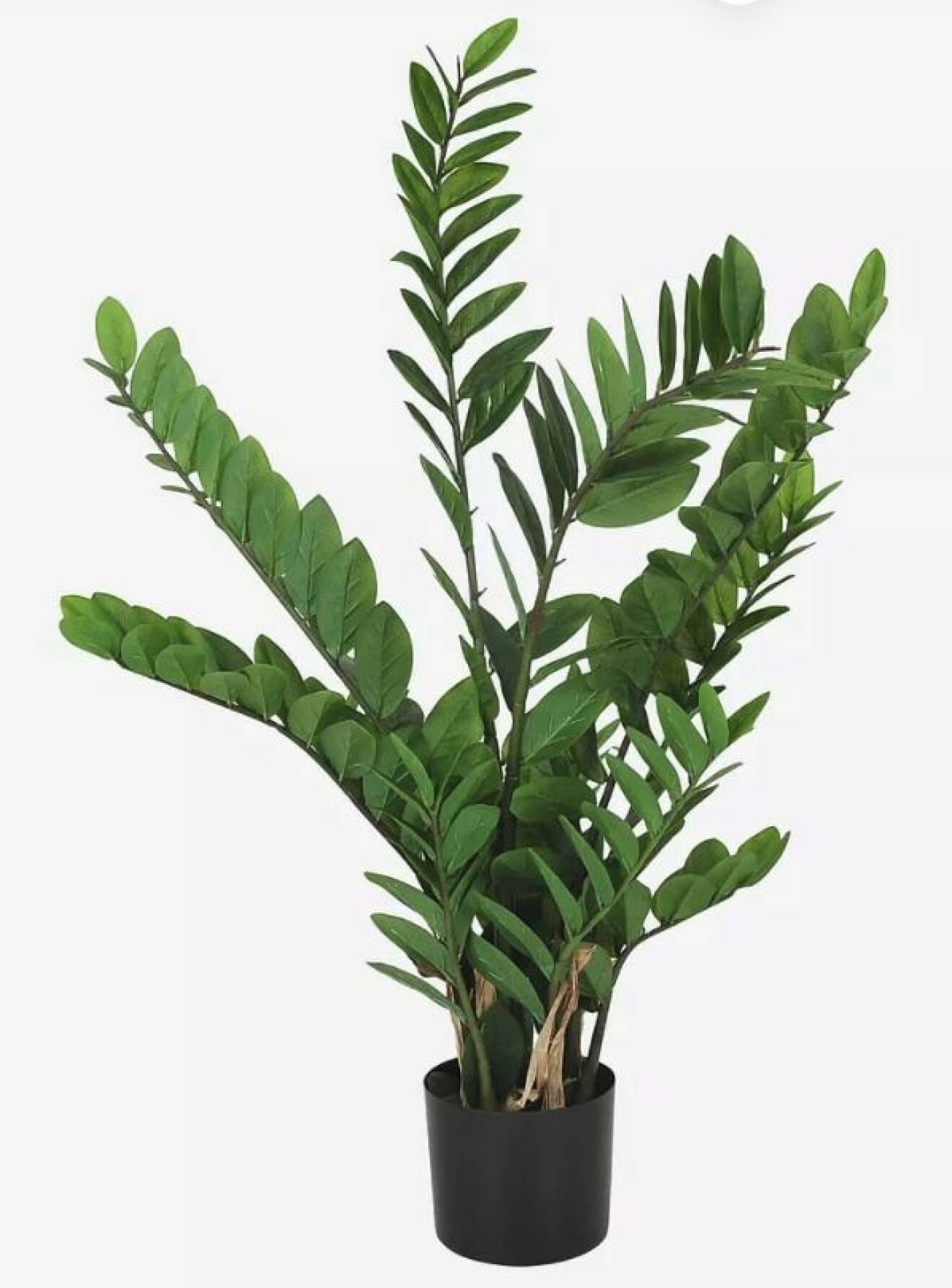 Palm ca en meter hög med flera bladklädda grenar. Konstväxt.