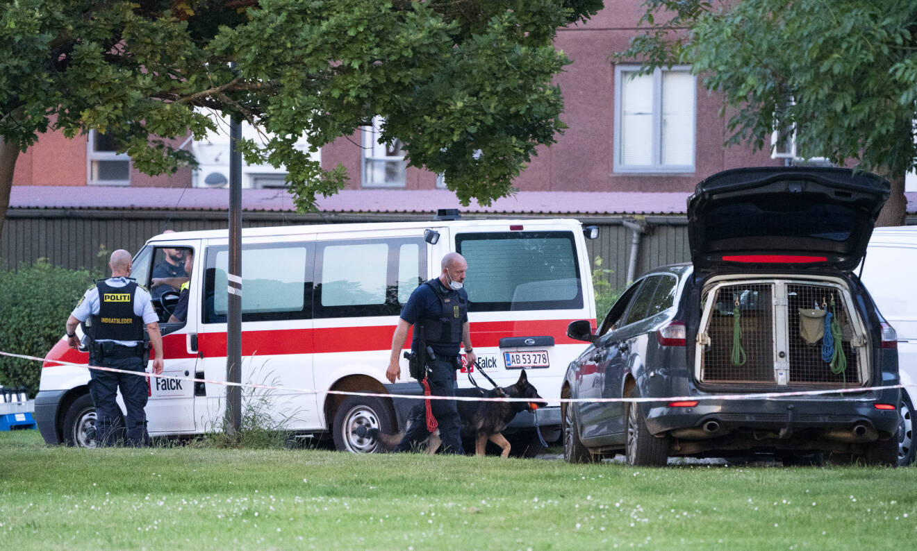 Två unga män sköts ihjäl i danska Herlev sommaren 2019 i gängkonflikten