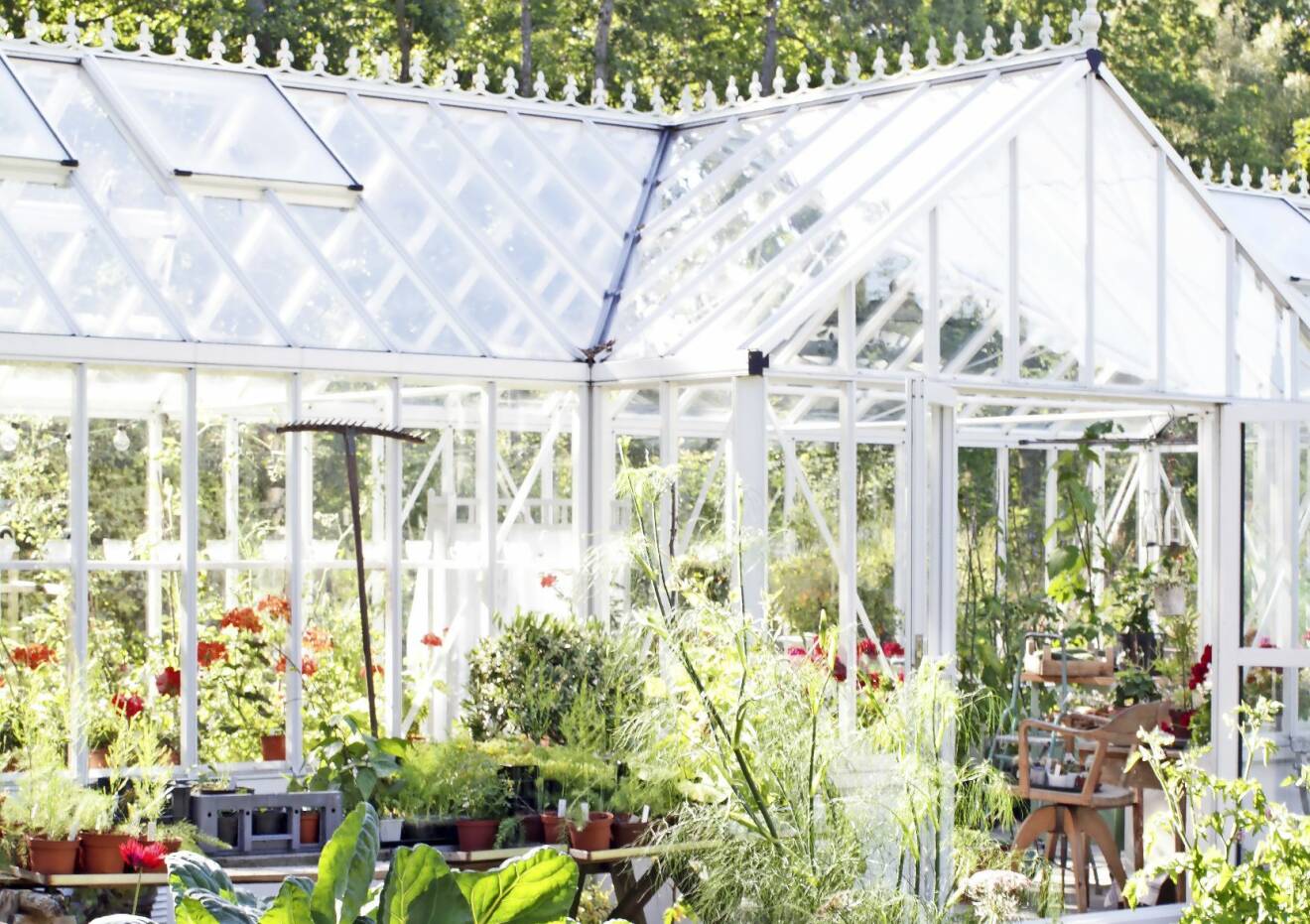 Ett växthus med plats för både umgänge och odling.