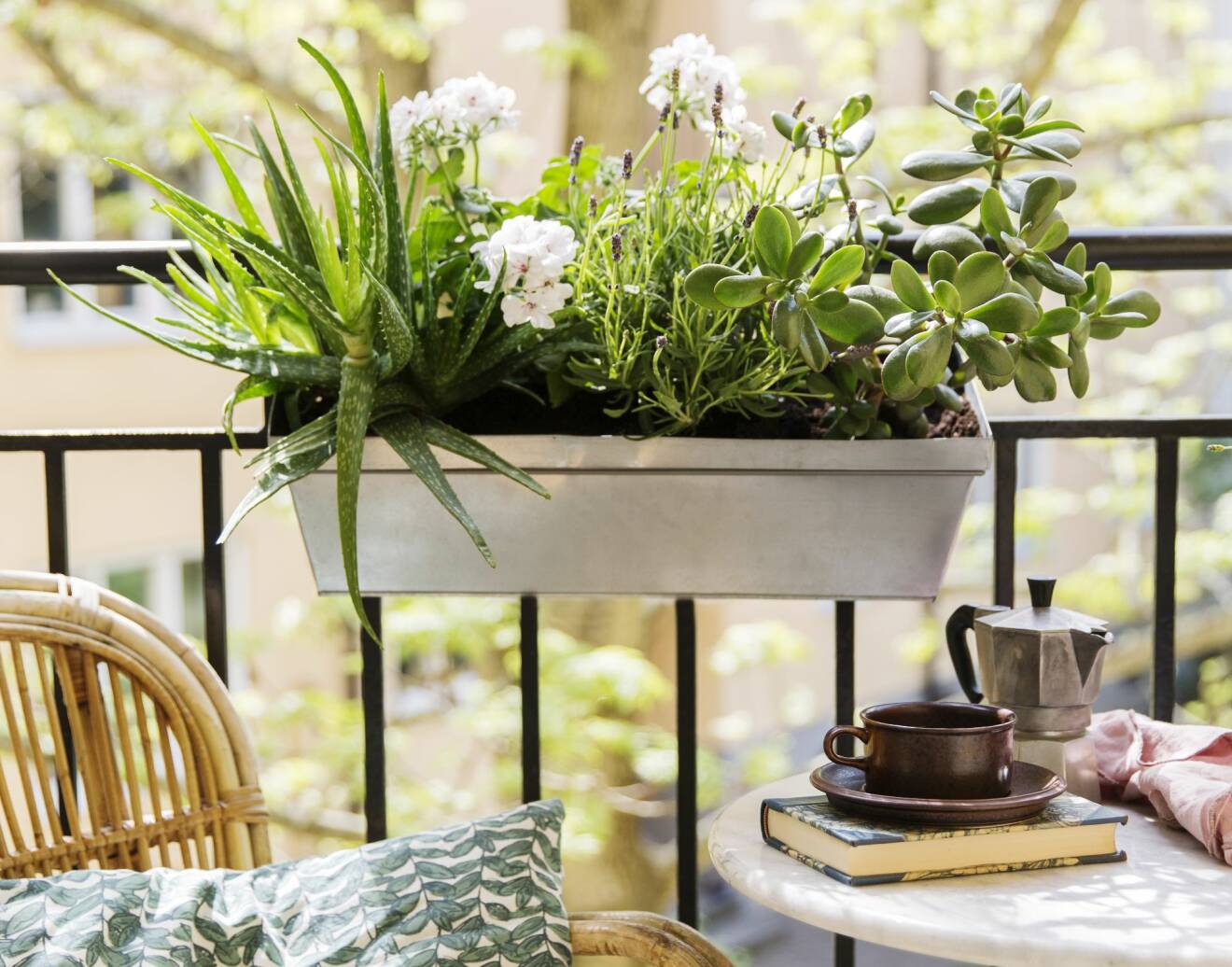 Balkonglåda med växter som kräver minimalt arbete.