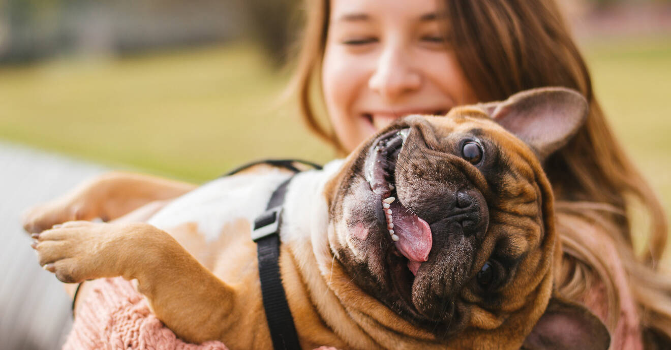 fördelar med att ha hund – för hälsan