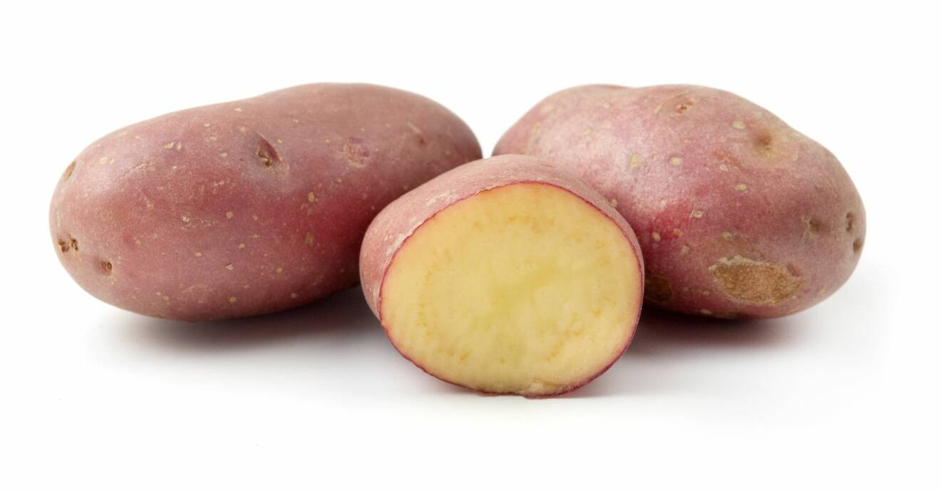 Den röda potatisen 'Cherise' är enkel att odla själv.