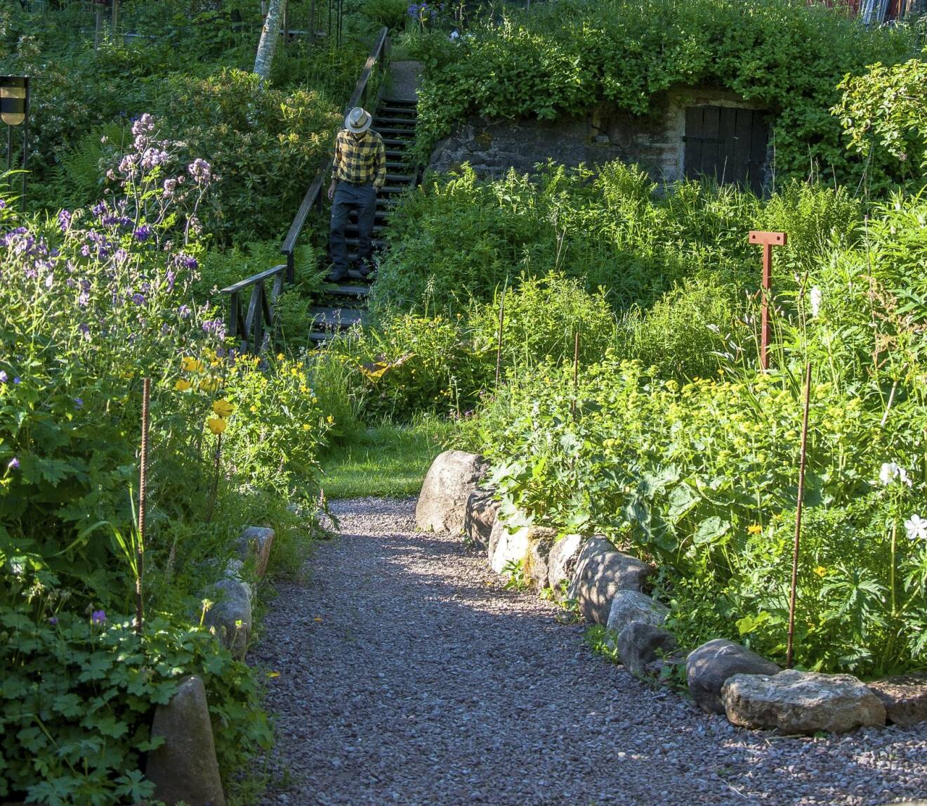 Trappor, gångar och stenläggningar ger struktur i trädgården.