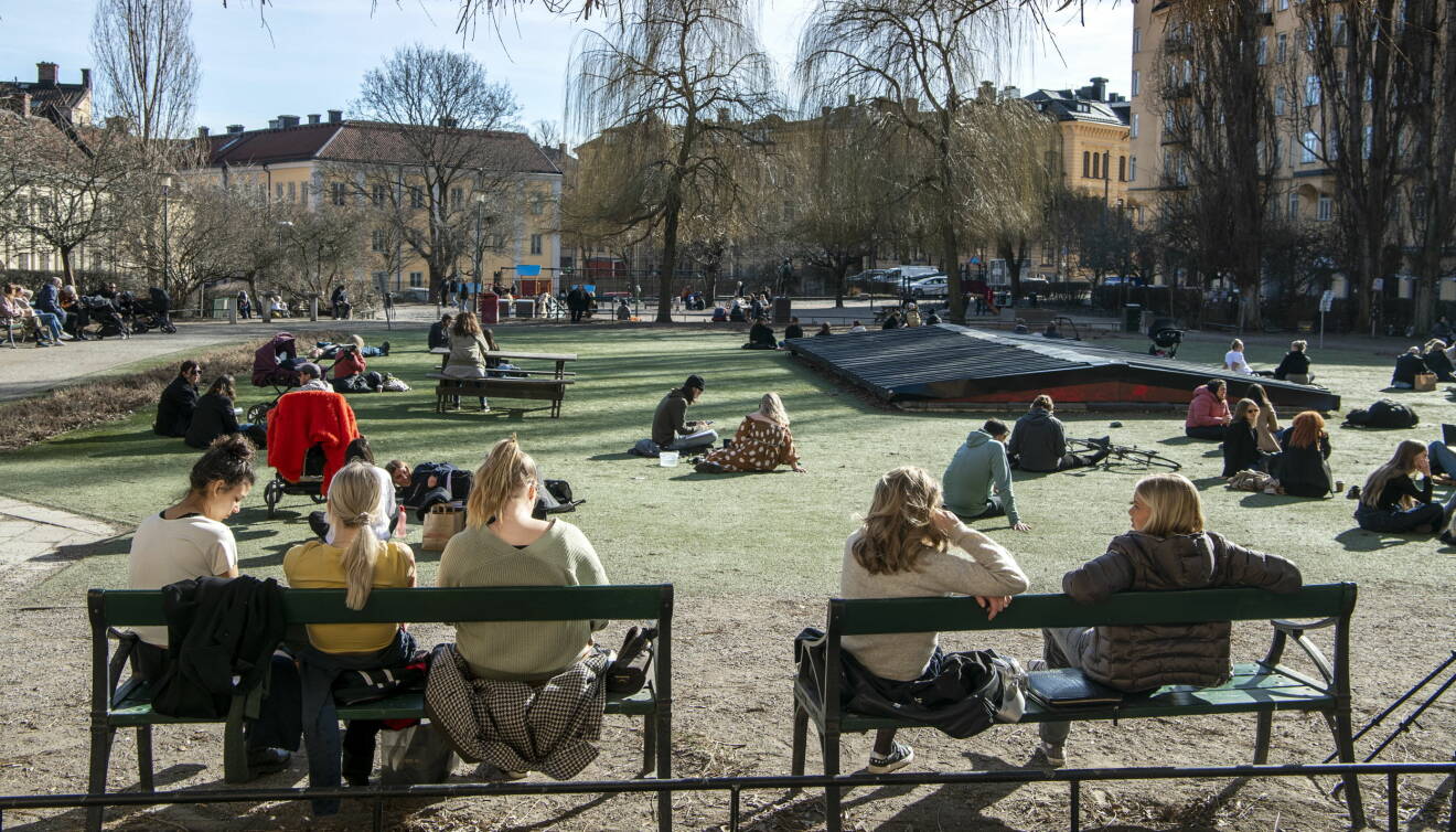 En park i Stockholm där ett gäng människor sitter utspritt och har picknick.