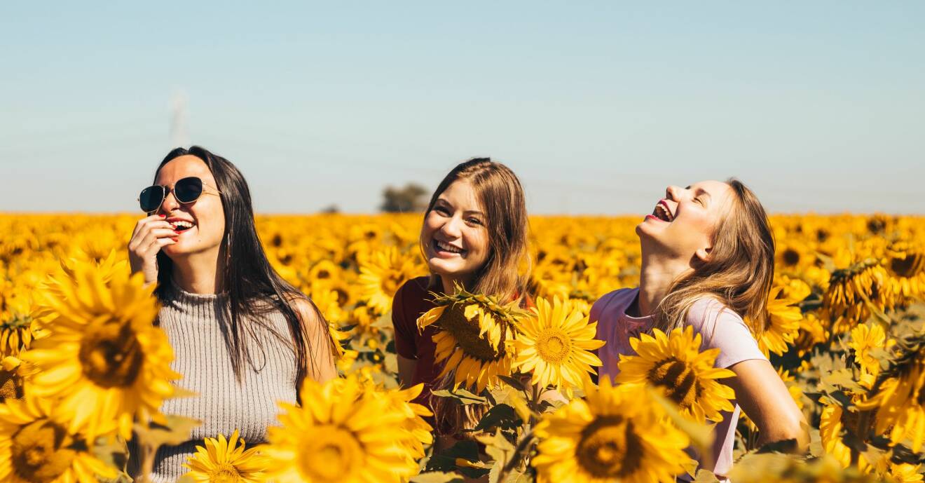 Tre vänner skrattar och är glada i solen på ett fält av solrosor.