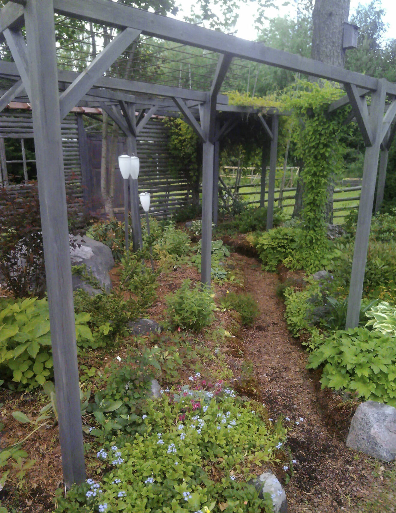 En pergola där klätterväxter kan bilda tak hjälper i norra Sverige.